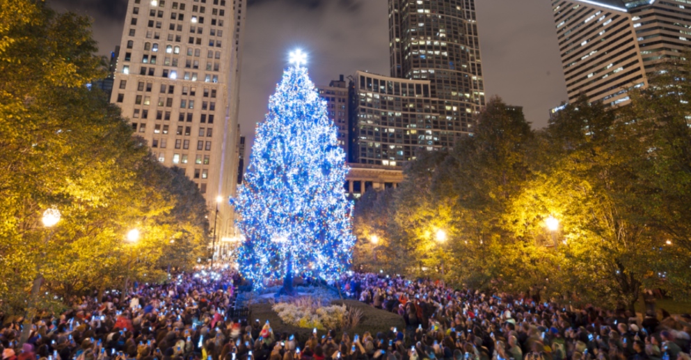 Large christmas tree Chicago