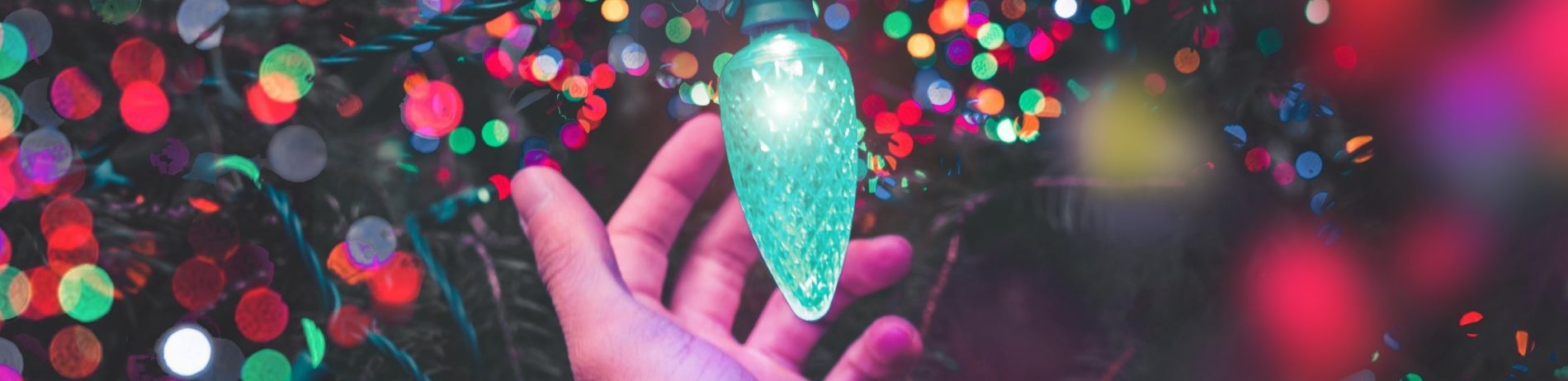 Someone holding christmas light