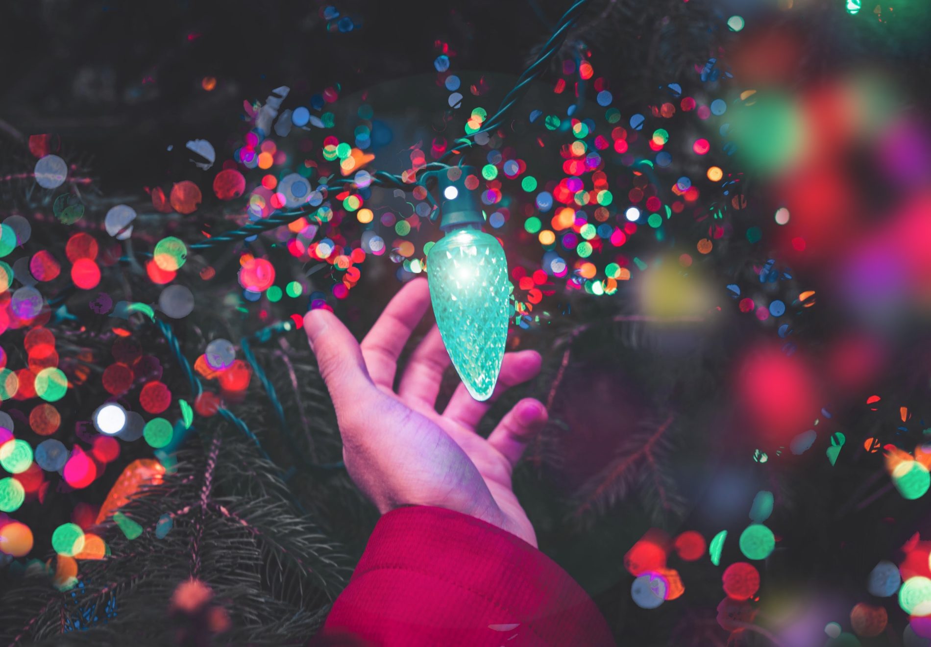 Someone holding christmas light